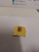 Broche con escudo dominicano/ broches met Dominicaans schild